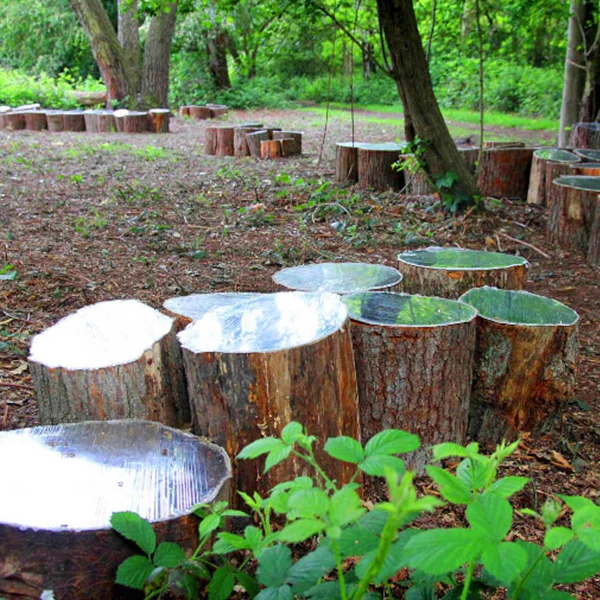 Image: Robert Piwko Photography