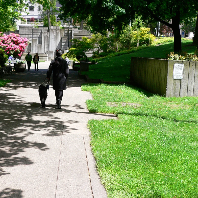 Image: Freeway Park in Seattle