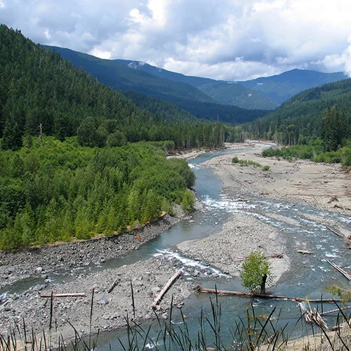 Image: The Elwha River, Jeff Taylor via Wikimedia Commons under CC license.