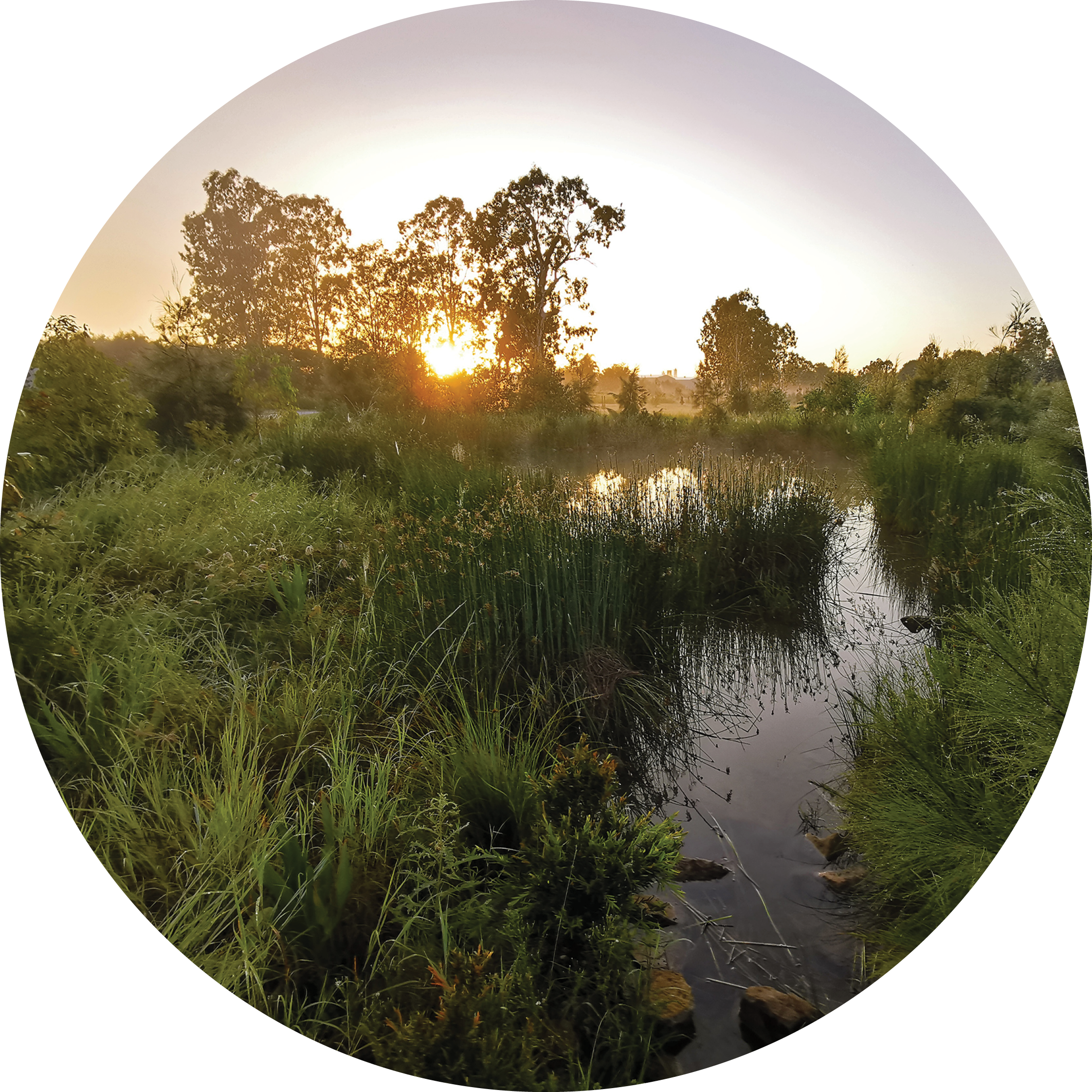 Projects waterways.png