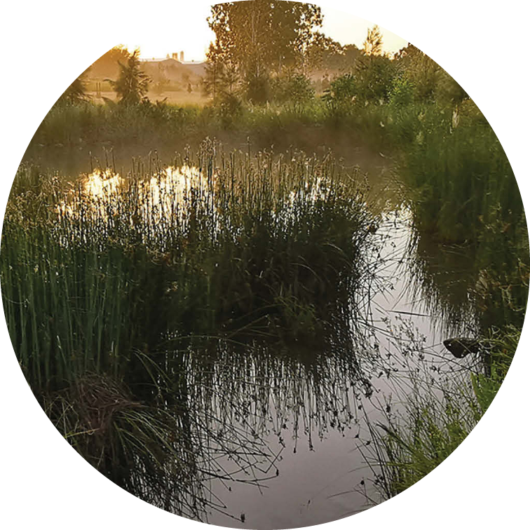 Small Creek dot 3.png