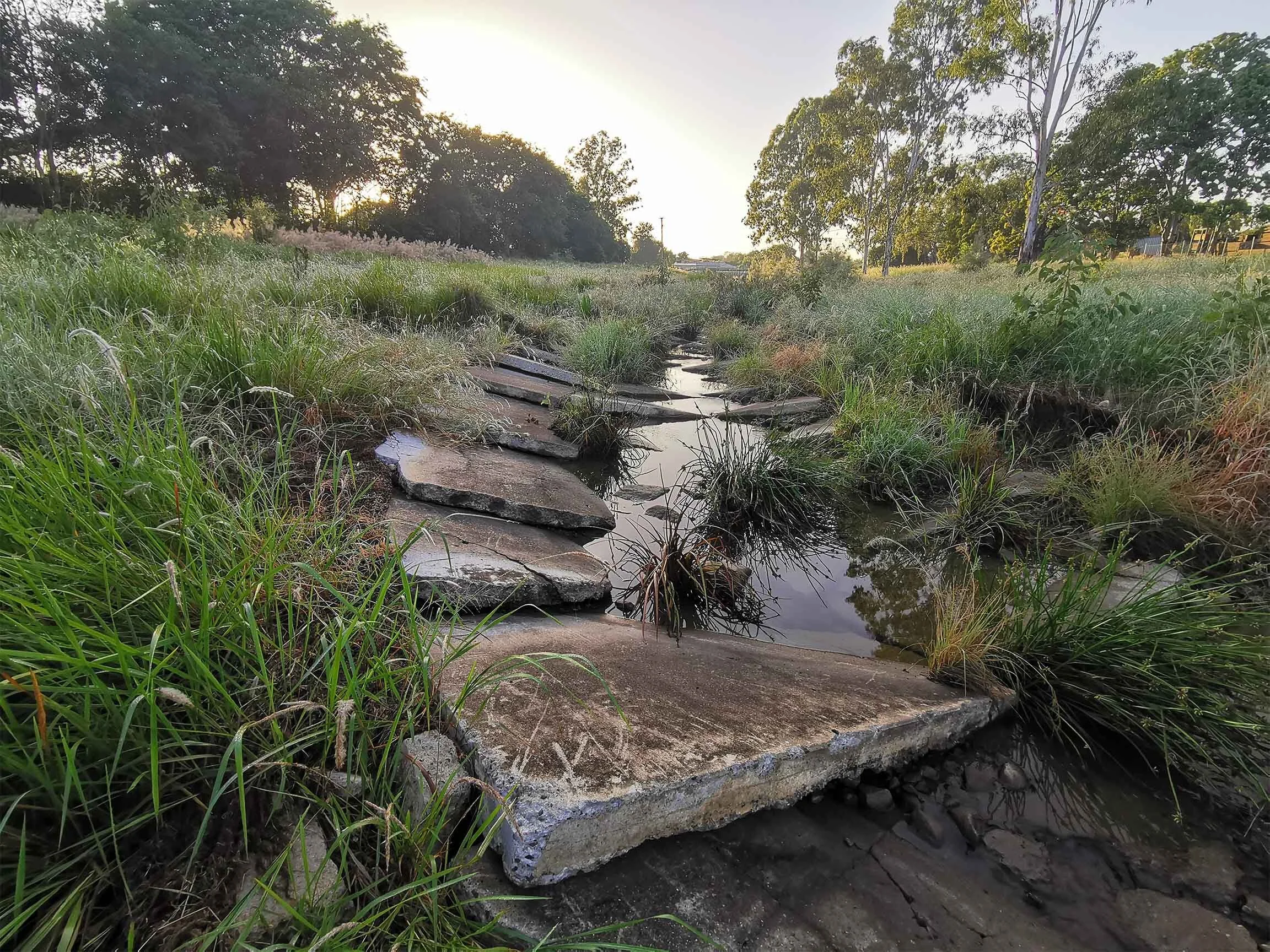 Setting free the creek
