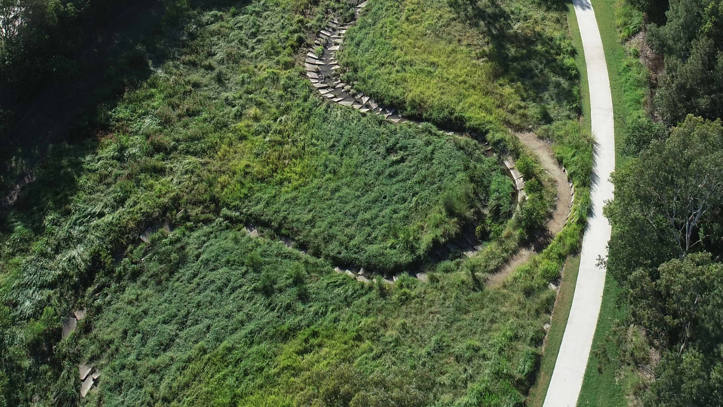 Image: Airborn Insight.