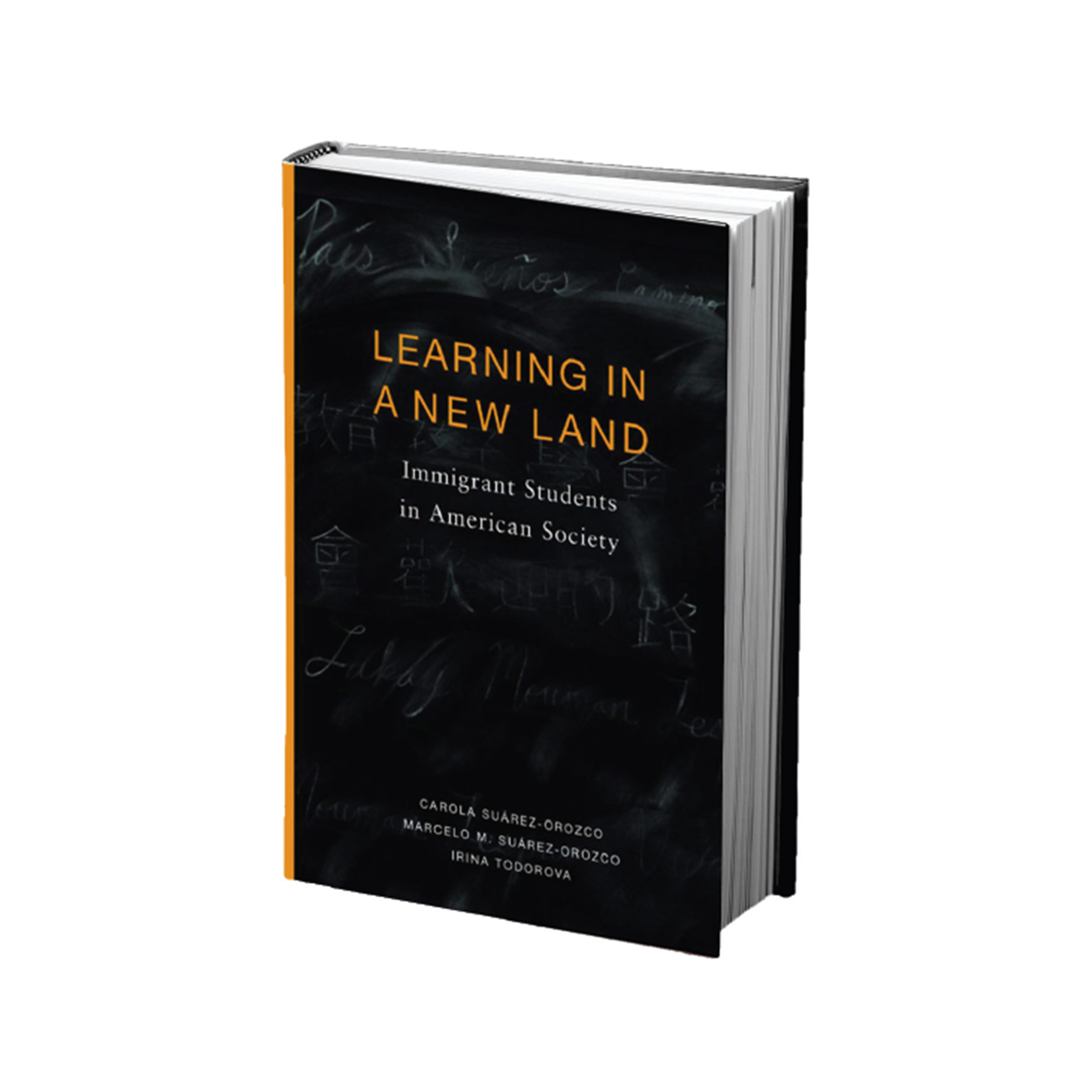 immigration button.jpg