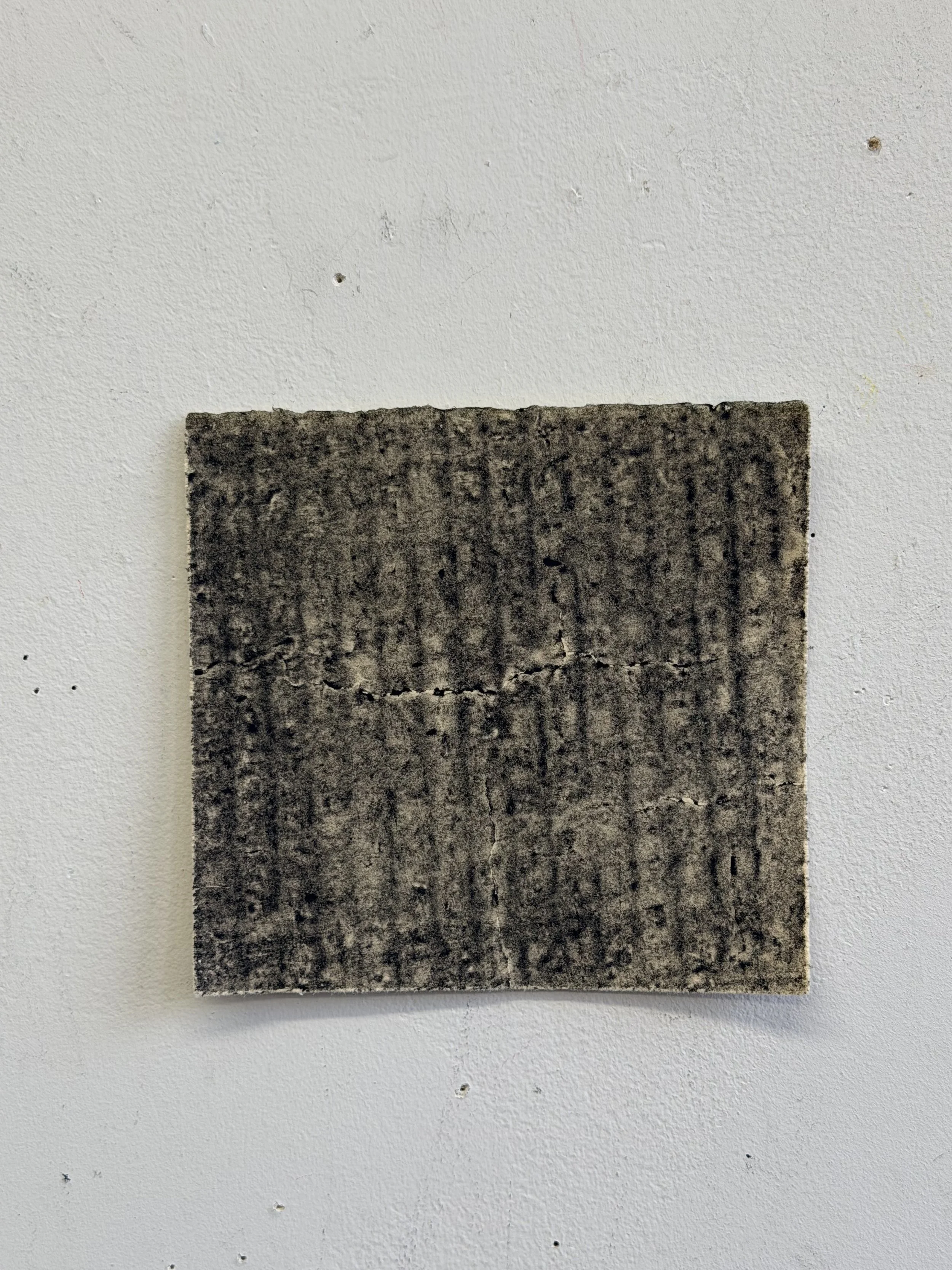 16_6 3:8x6_IMG_5195.jpeg