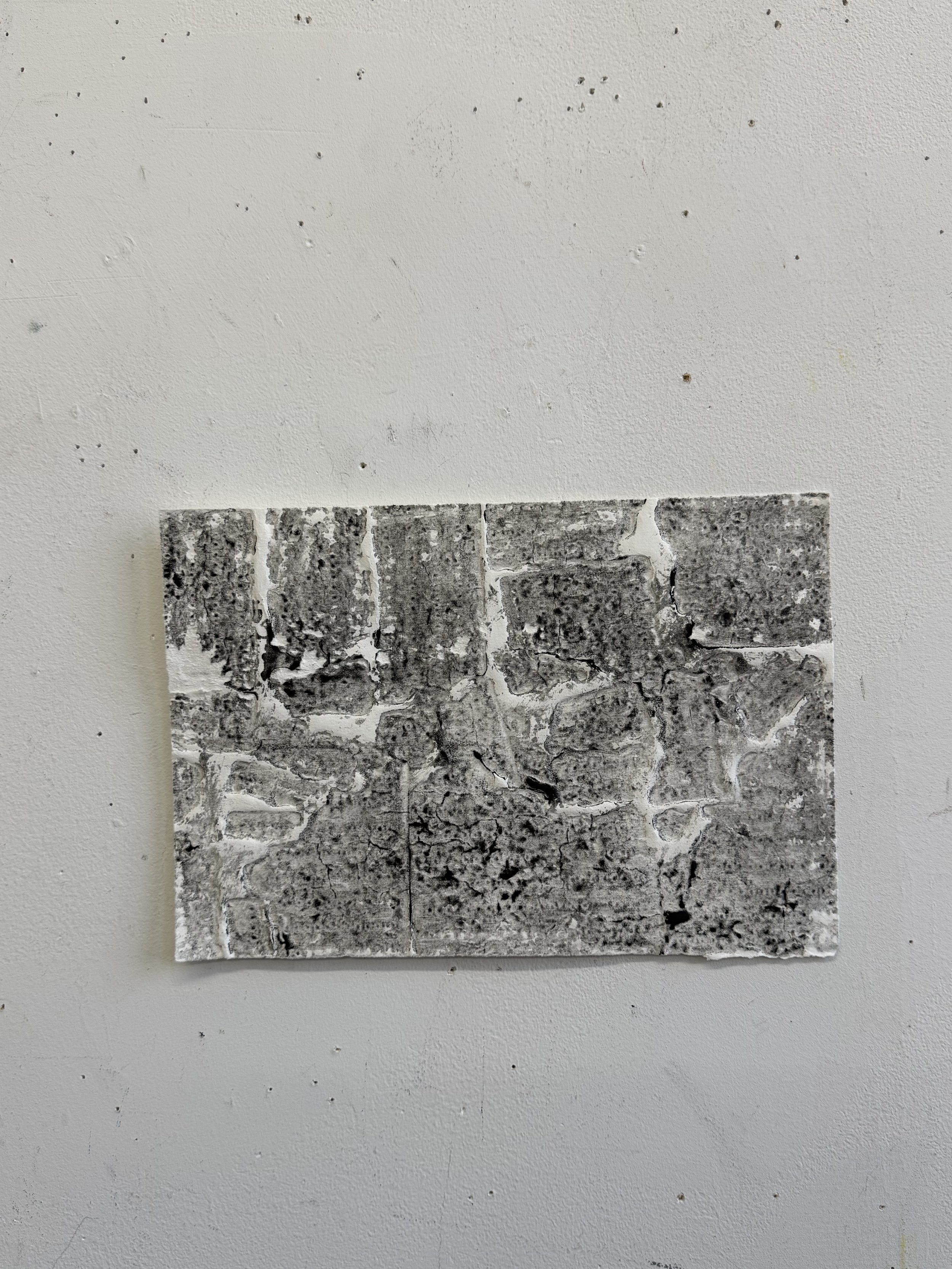 24_10 7:8 x 7 5:8_IMG_5204.jpeg