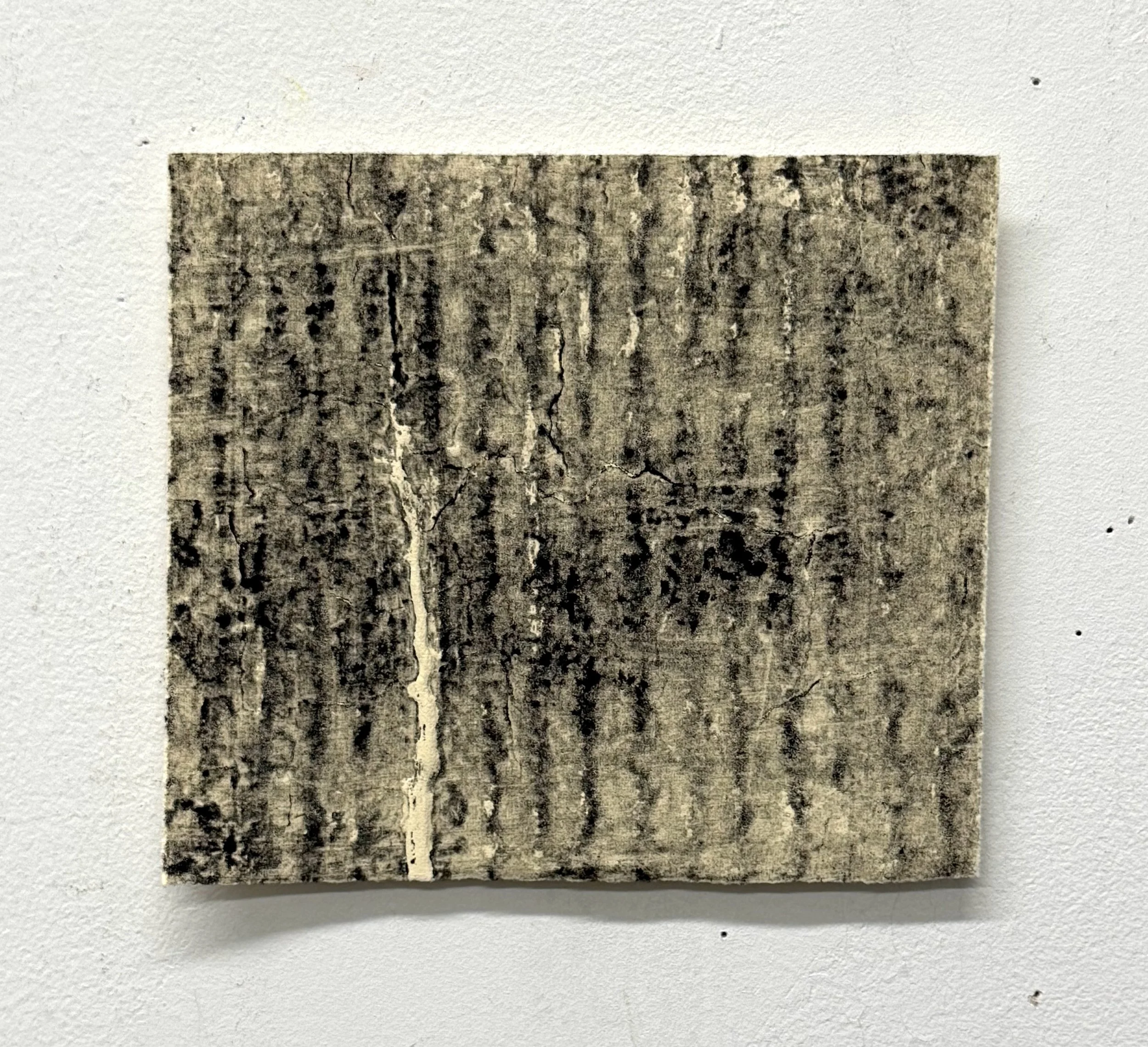 1_6 5:8 x 5 7:8_IMG_5166.jpeg