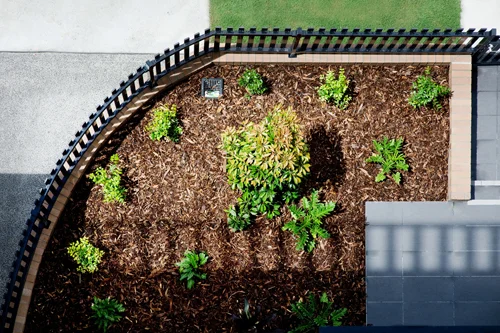 Scribe_External_14 Garden.jpg