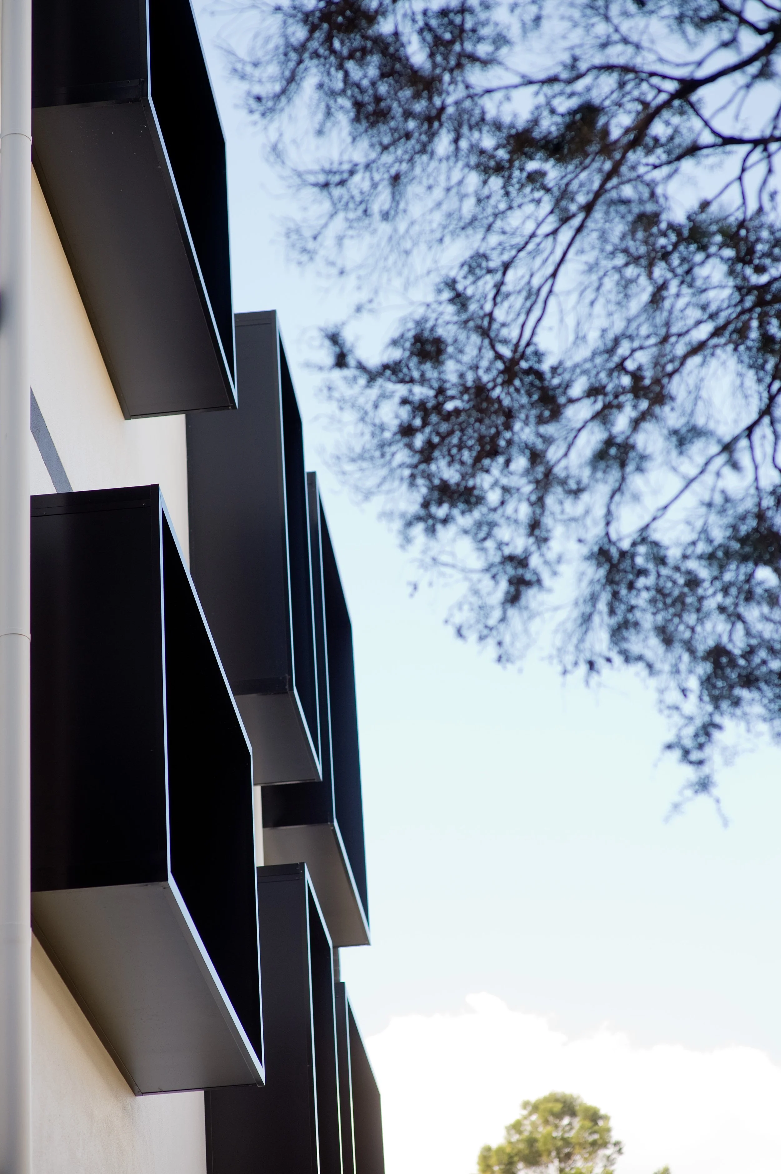 Circ by Mosaic_External 66 windows.JPG