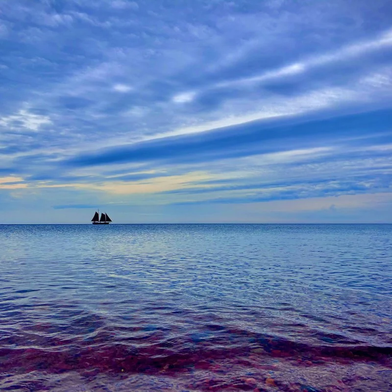 Deep Blue (small cover).jpg