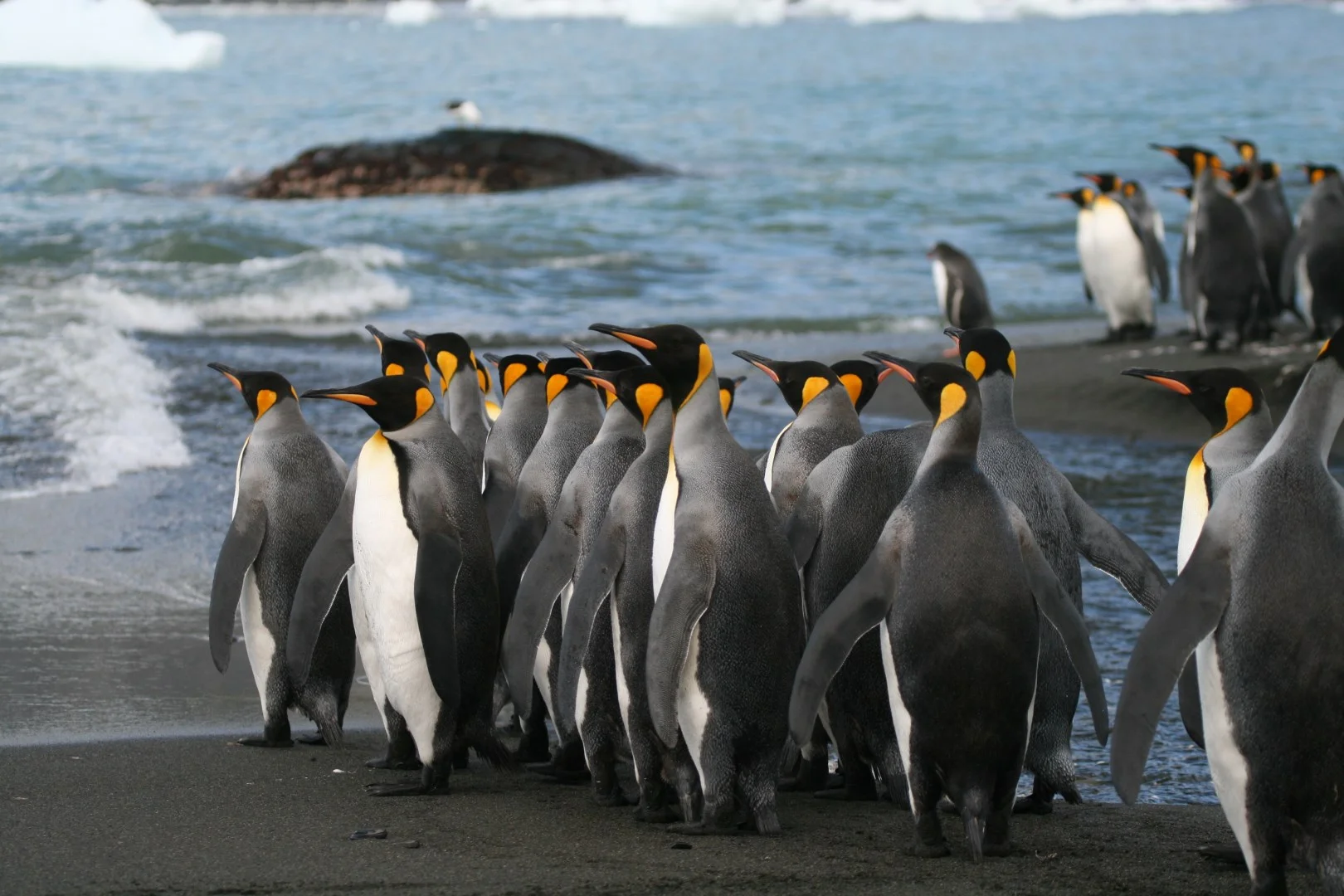 image copyright annette preen