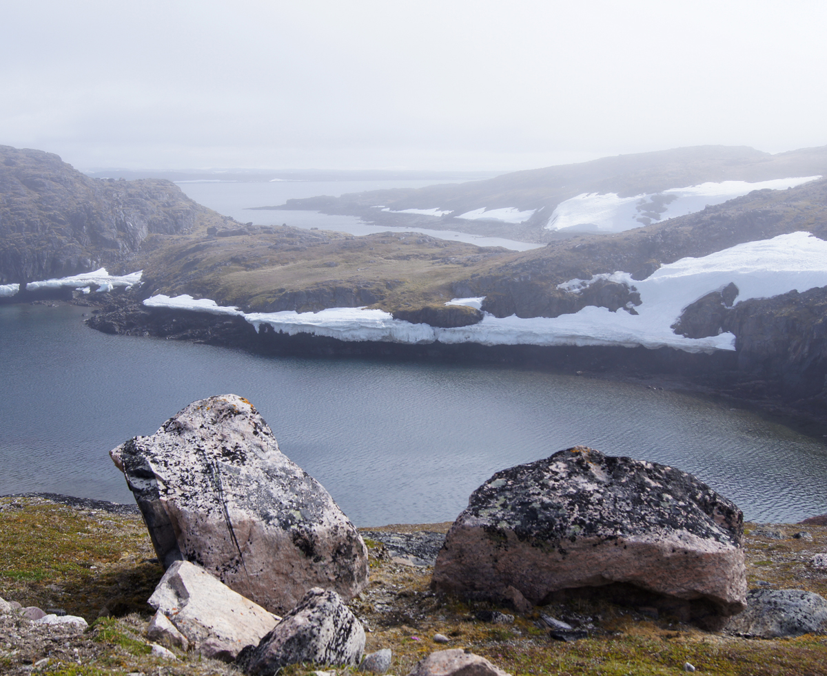 Arctic Tundra Landscape