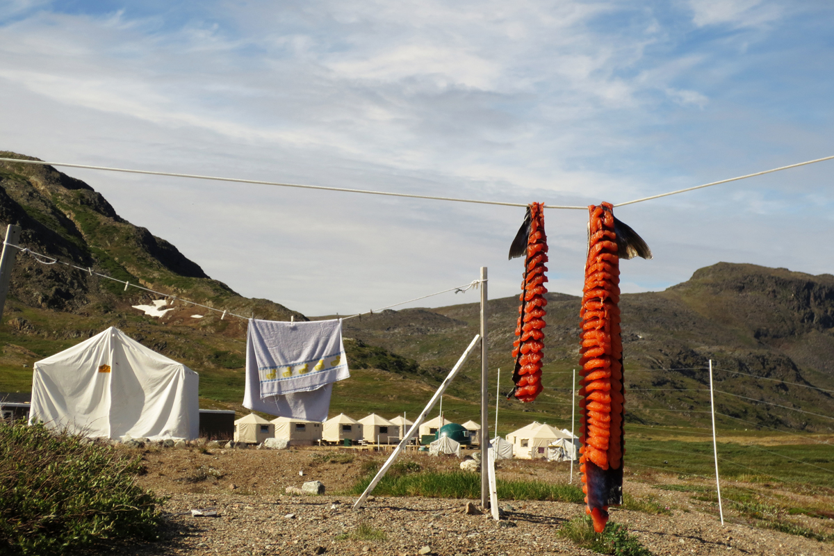 Parks Canada Torngat Base Camp