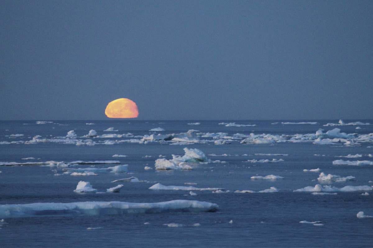 Arctic Moon