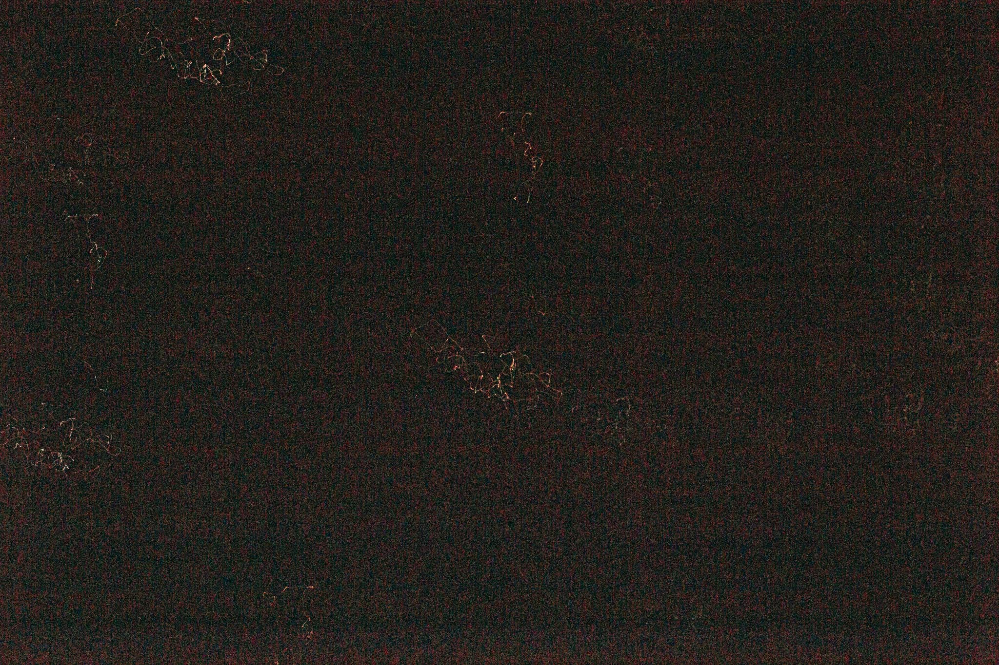 lowres-1767.jpg