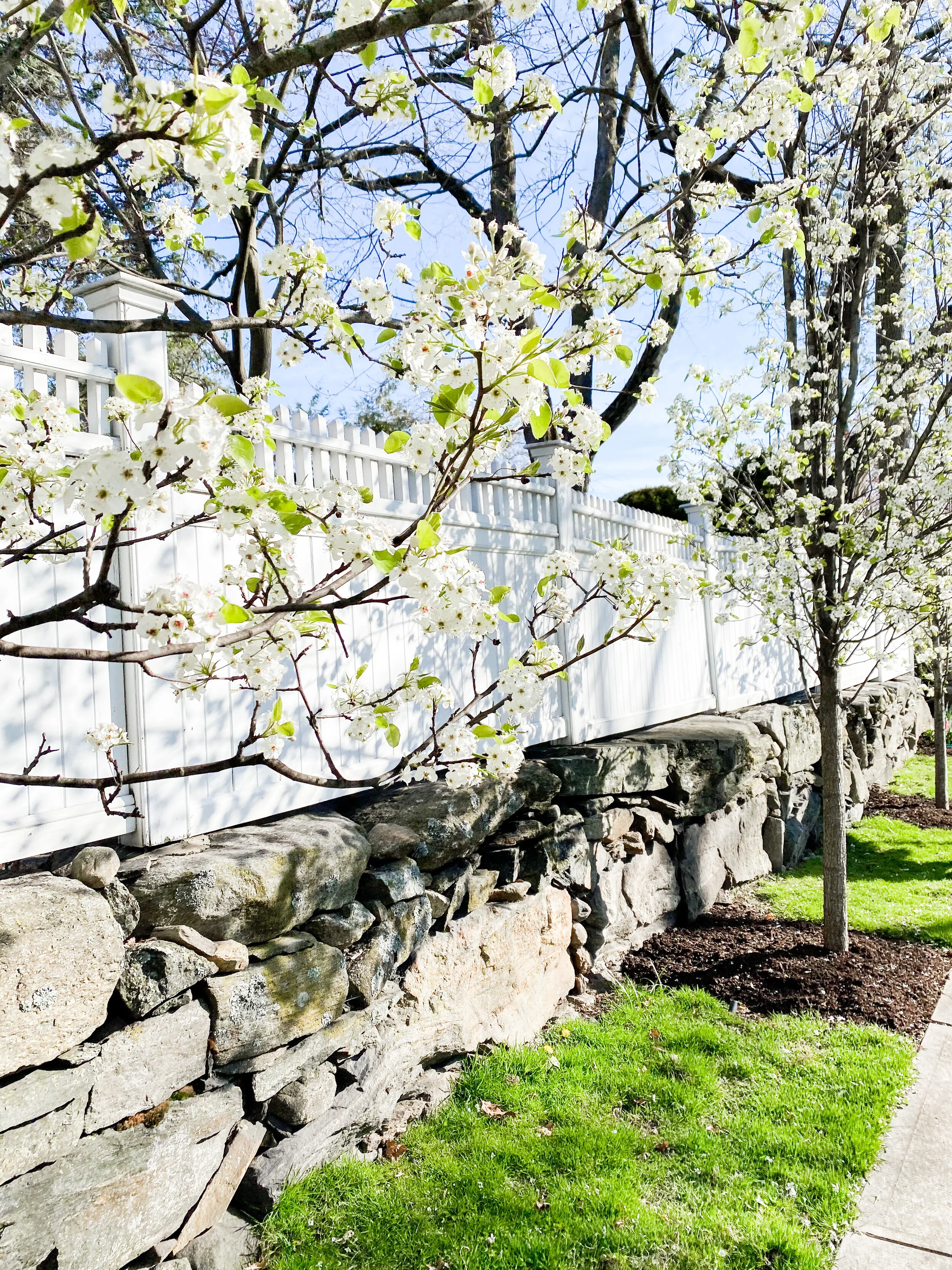 5 things bringing me J O Y