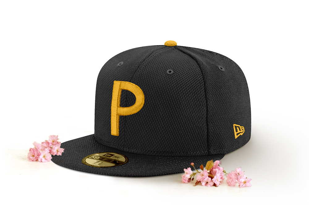 2018 ASG Wash_blossoms_PIT.jpg