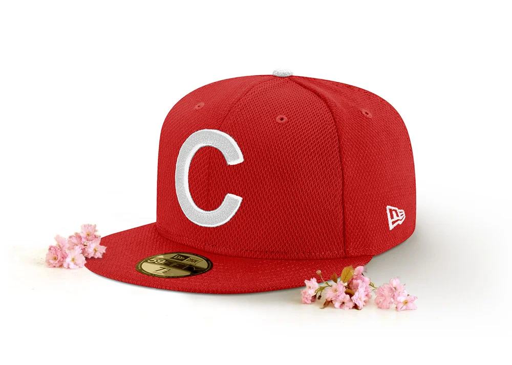 2018 ASG Wash_blossoms_CIN.jpg