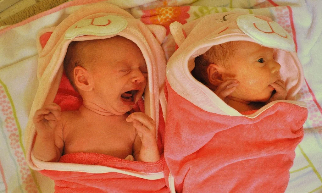 Becky's Twins