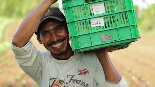 La Colonia : Eres Parte De Nosotros [Proveedor]
