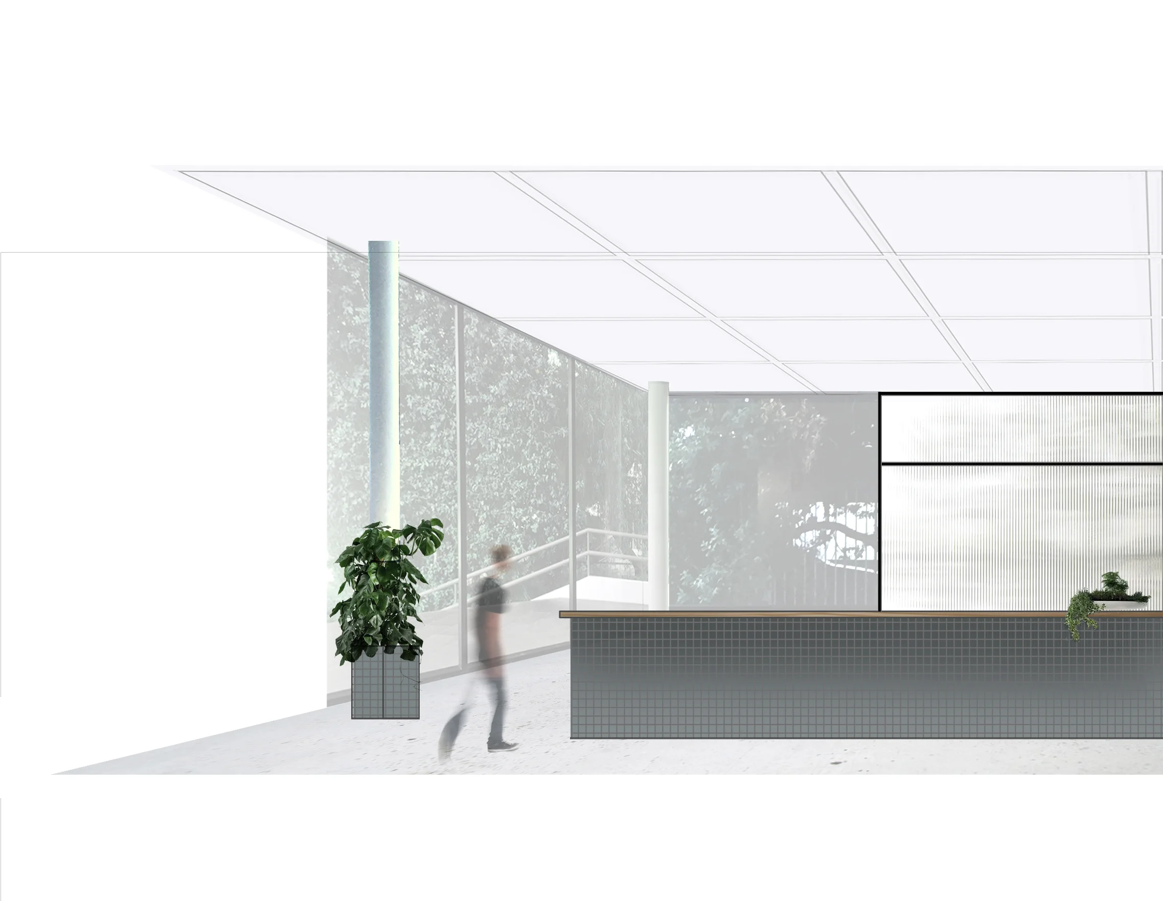 Core Dental Ceramics — WS