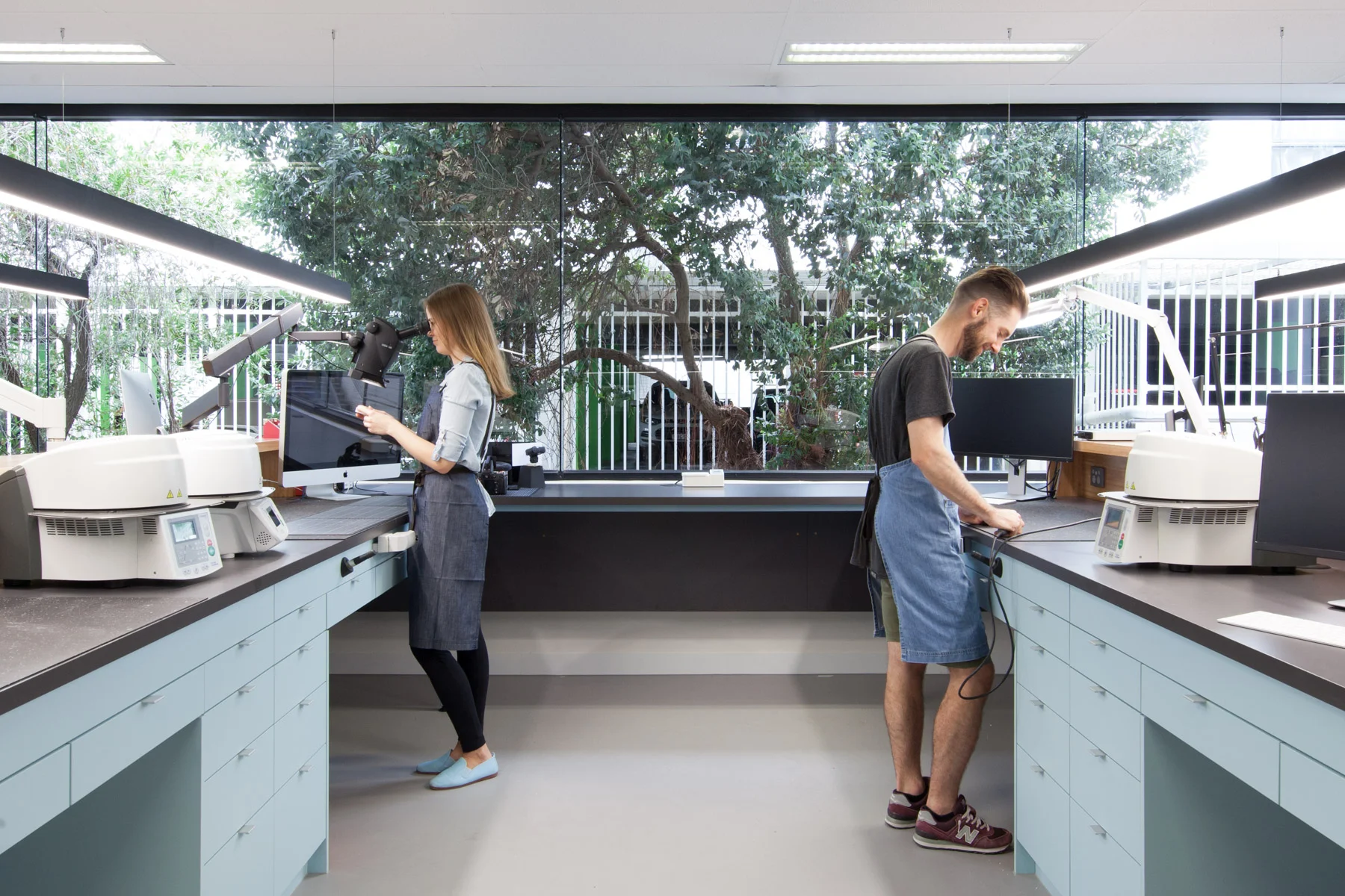 Core Dental Ceramics — WS