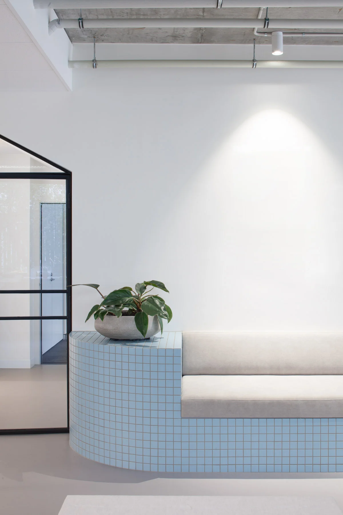 Core Dental Ceramics — WS