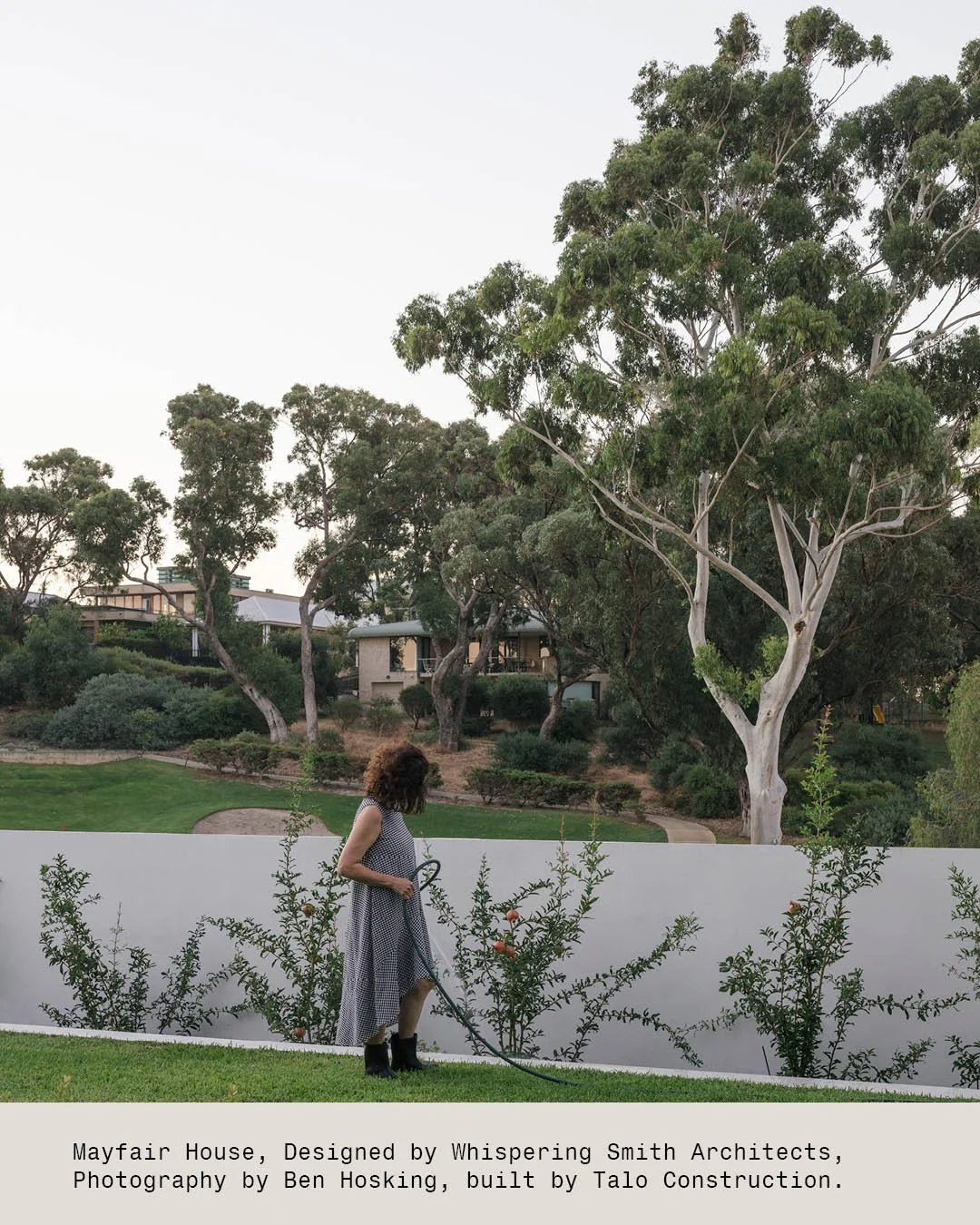 Mayfair is a house about gardens.

Not just big ones out the front, but courtyards, edges, little green pockets stitched into the plan. Places to sit, water the pomegranate, take five.

The architecture holds the background. The rest is just life, un