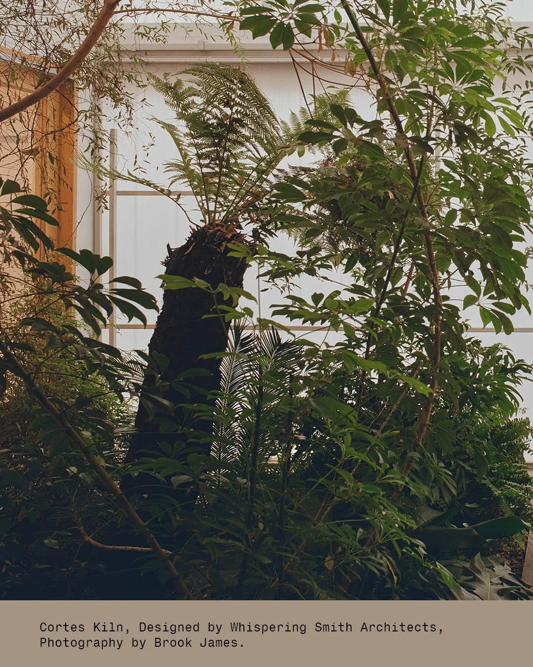 Most of the year in the high country it&rsquo;s way too cold to fling the doors open. The courtyard solves that &mdash; a little greenhouse in the middle of the plan, so you&rsquo;re still in the landscape even in the snow season. Not about luxury, j