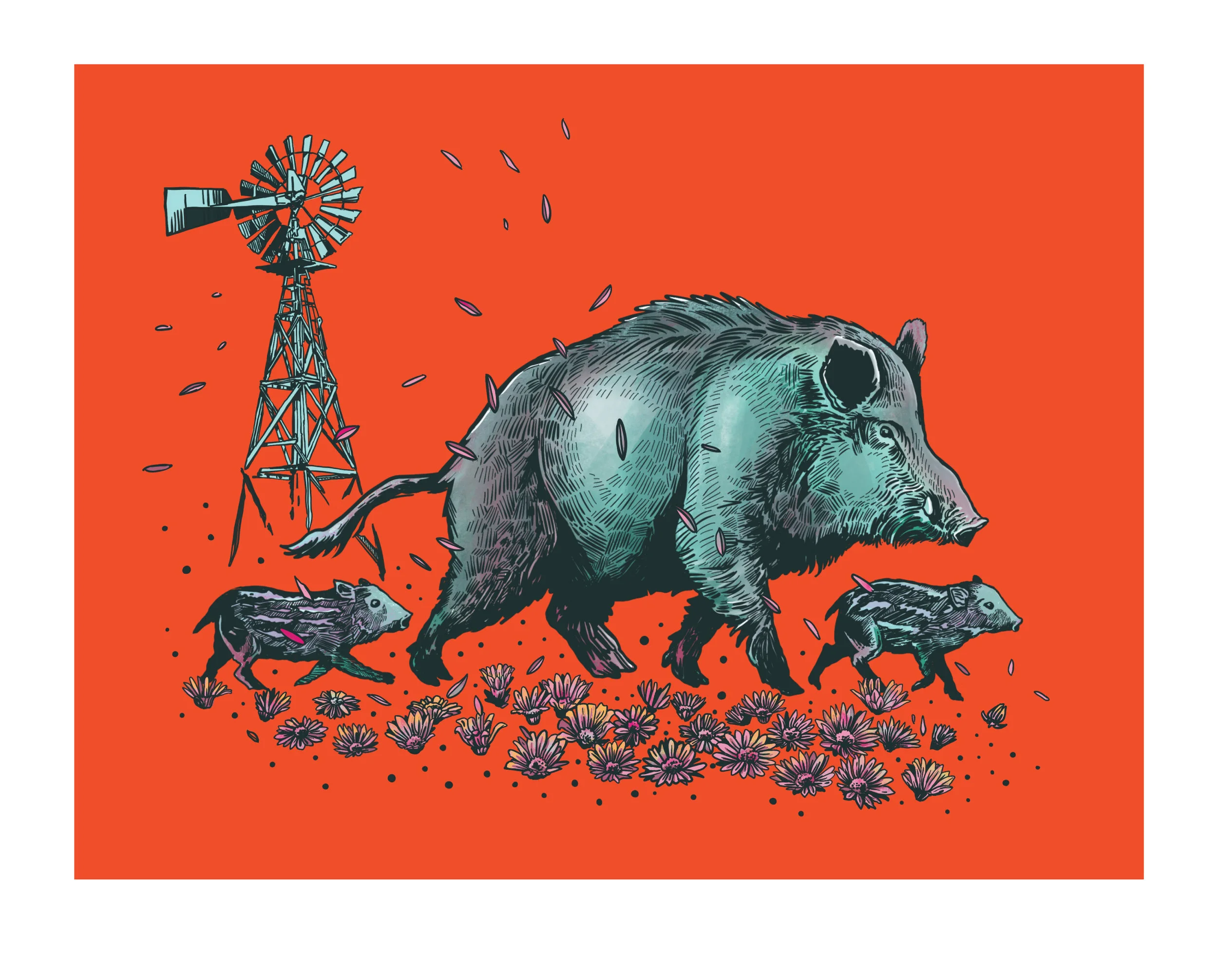1-Wild Boar-01-01.jpg