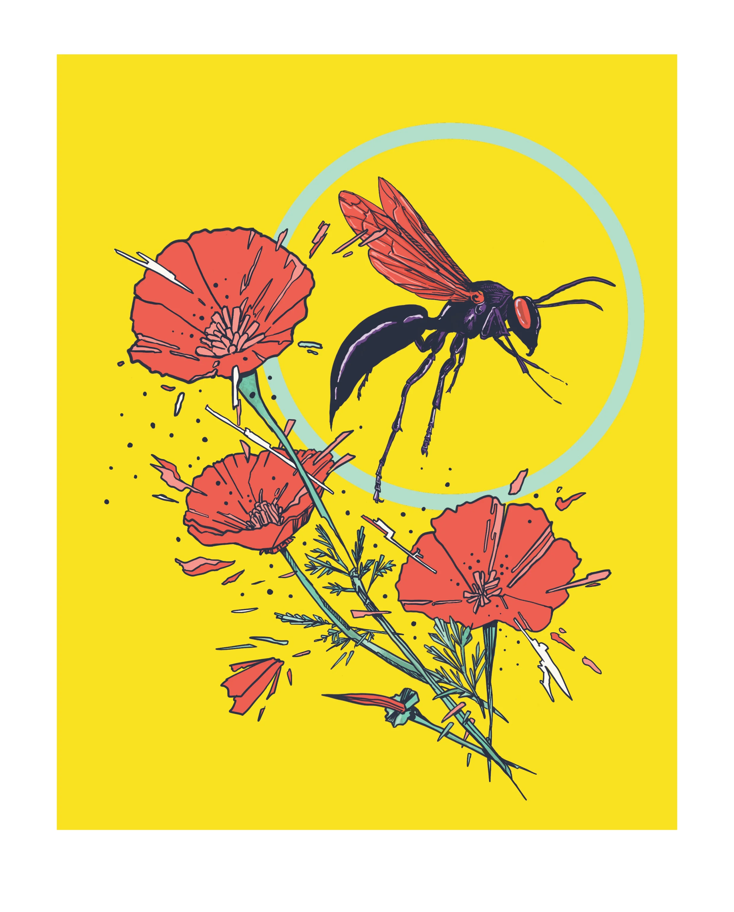 1-Tarantula Hawk Wasp-01-01-01.jpg