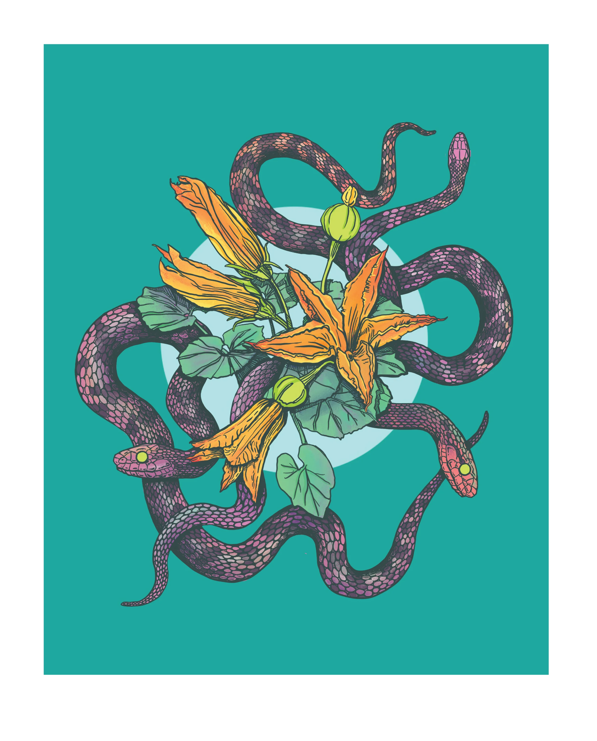 1-Gopher Snakes-01-01-01.jpg