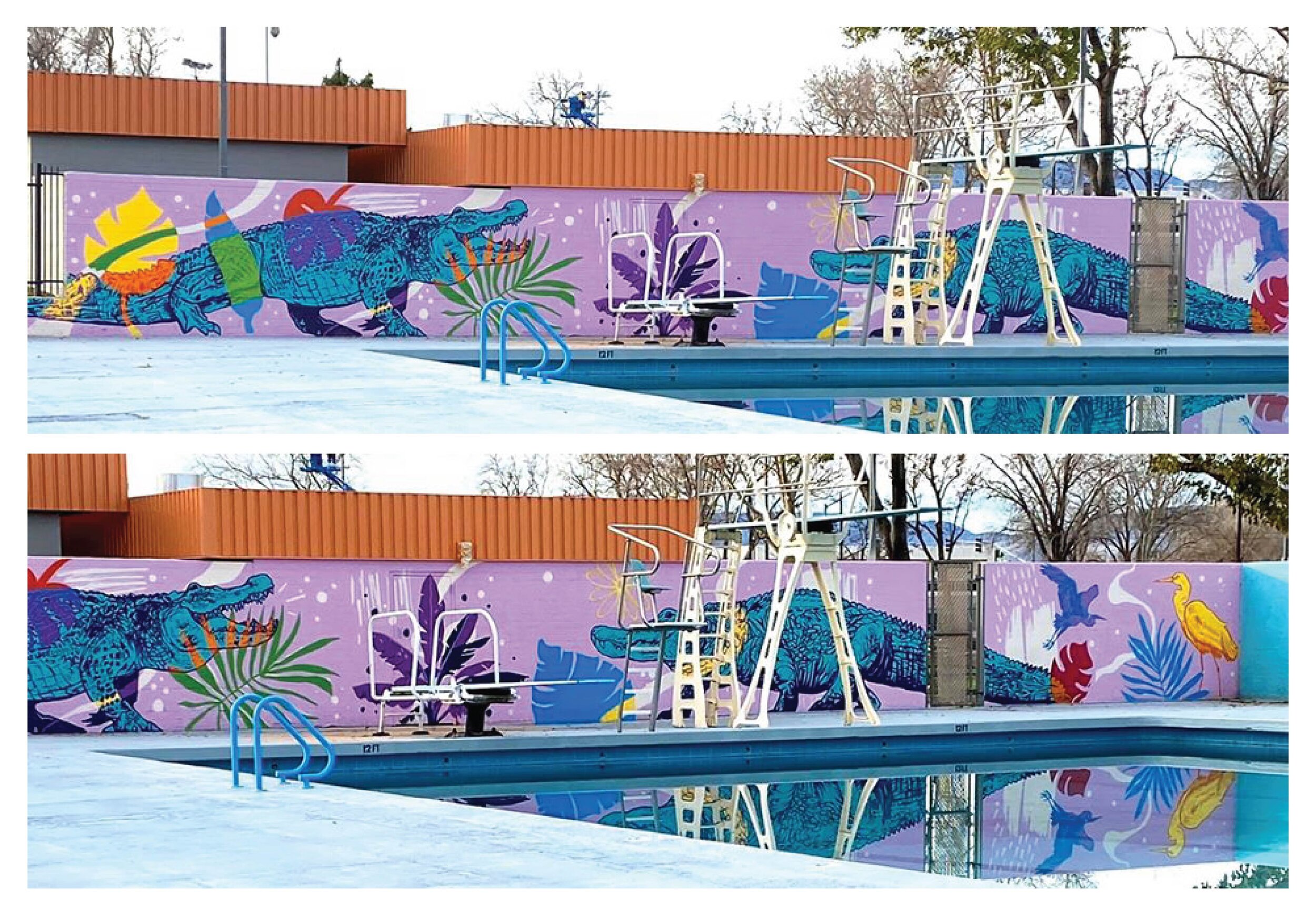 Webber Pool 1-01.jpg