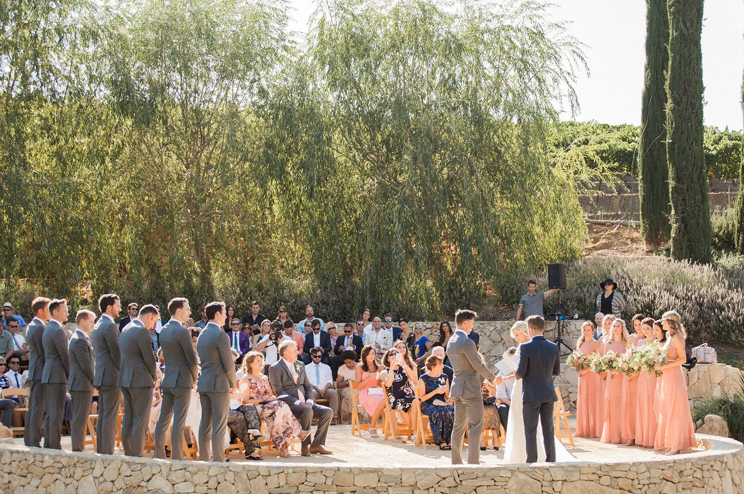 wedding at terra mia