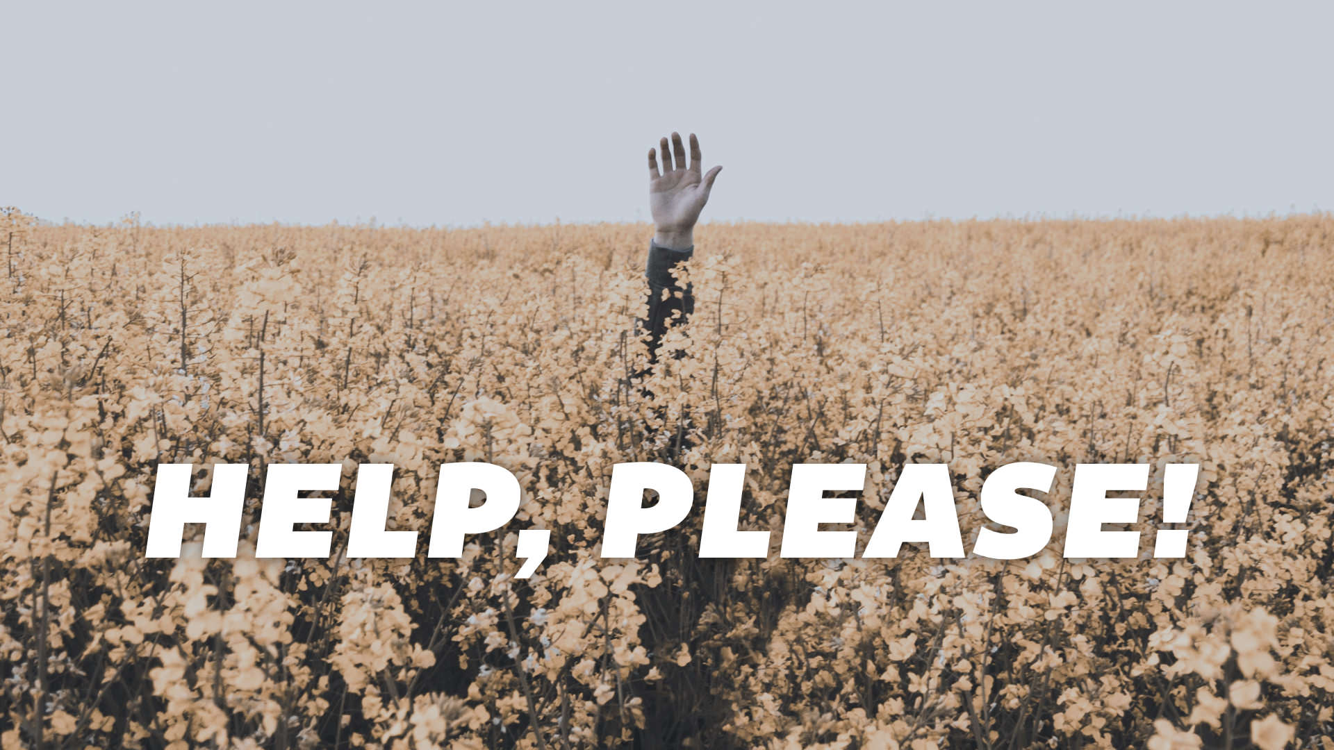Help, Please! slides Real.001.jpeg