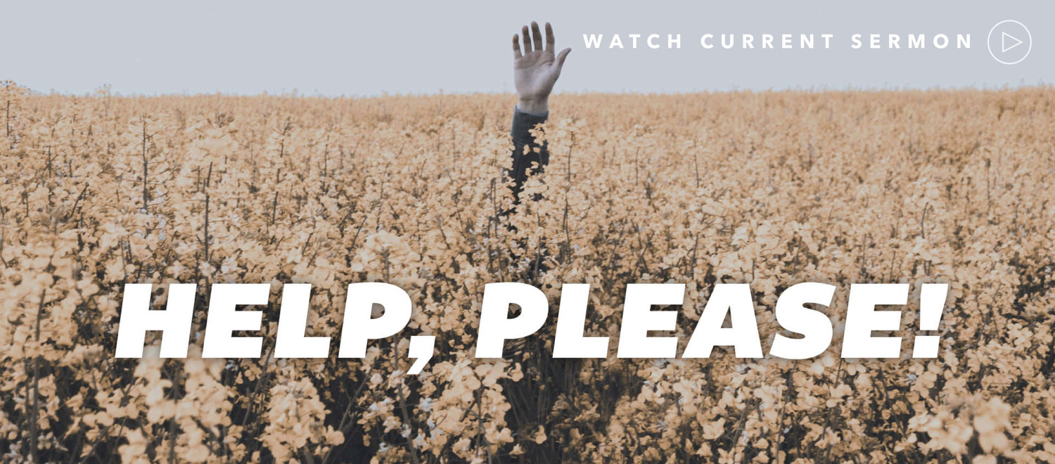 Help,+Please+Slider.001.jpeg