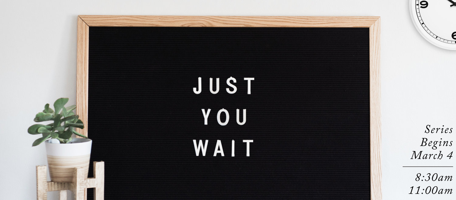 Just+You+Wait+slider+graphic+-+coming.001.jpeg