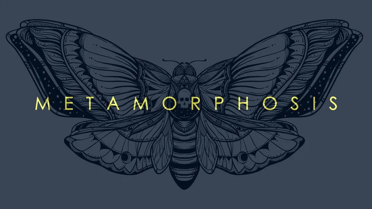 Metamorphosis+bulletin+cover.001.jpeg
