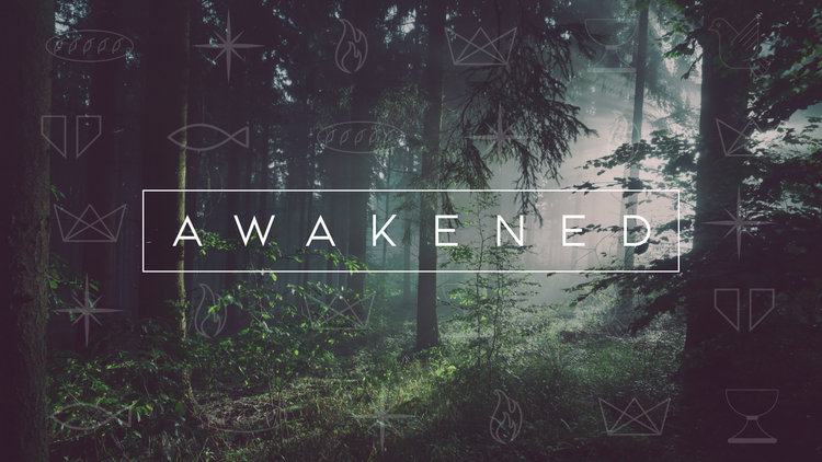 Awakened+bulletin+cover.001.jpeg