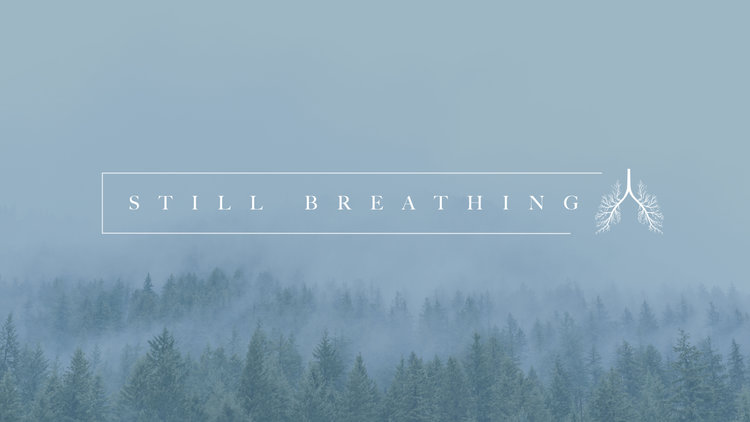 Still+Breathing+bulletin+cover.001.jpeg