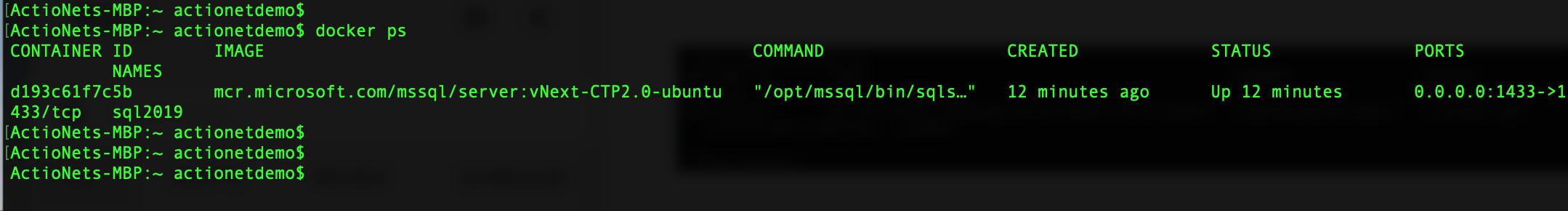 Docker_PS_command_SQL_2019.png