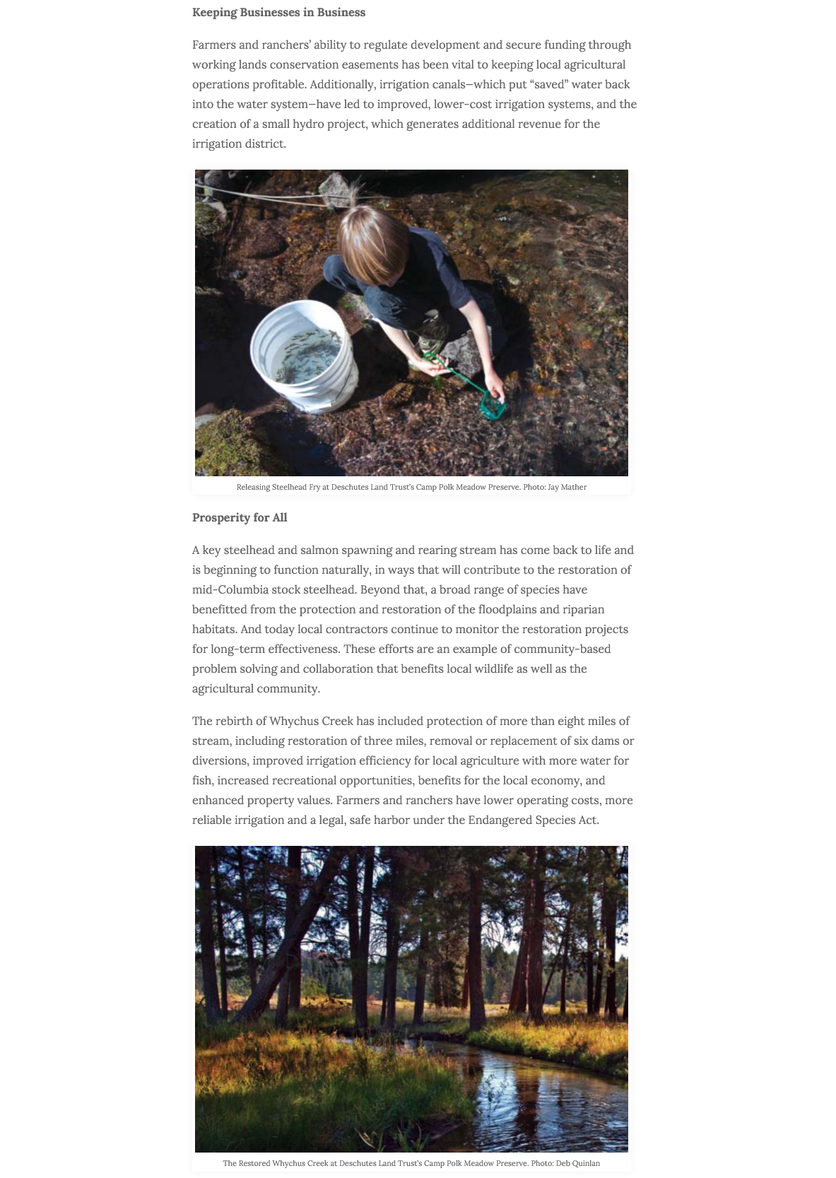 Screen Shot 2016-02-12 at 12.05.08 AM.png