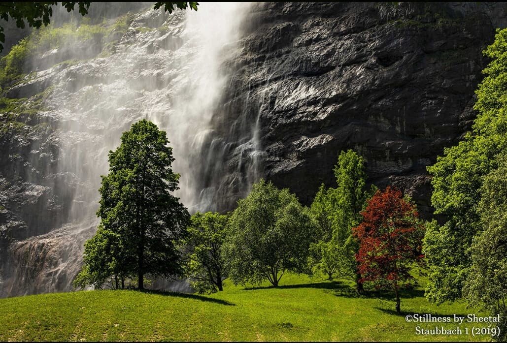 Staubbach 1 (2019)
Landscape series

&quot;Heaven is under our feet as well as over our heads.&quot; 
~Henry David Thoreau
.
.
.
.
.
#waterfallphotography #lauterbrunnen #staubbachfall #landscapephotography #stillnessbysheetal #greengrass #allthingsb