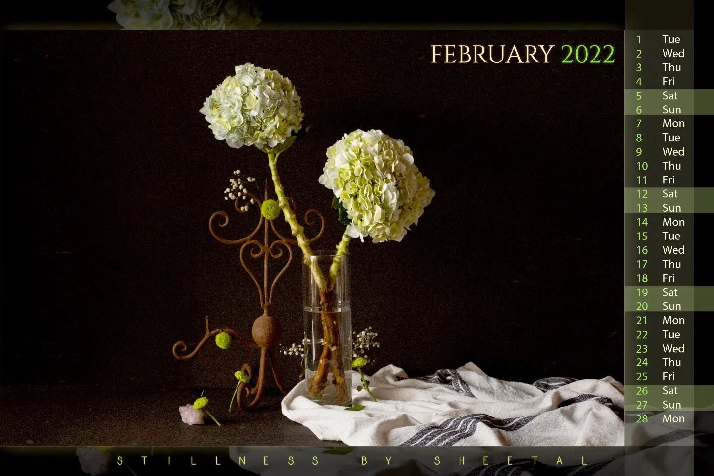 &quot;Hydrangeas&quot;
February 
&quot;Cheer&quot; - Calendar 2022 
Stillness by Sheetal

#february2022 #calendar2022 #artcalendar #stilllifephotographer #hydrangeas #floralstilllife