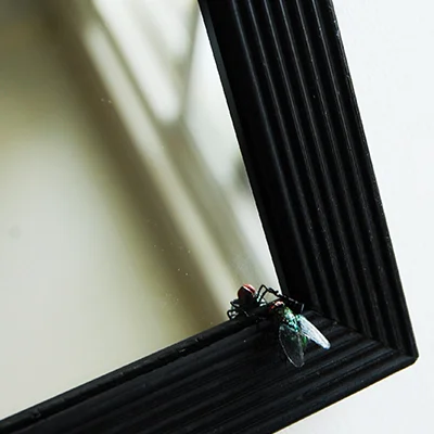 Therese Howard, Self Portrait in Bronze (detail) 2012, cold painted bronze, wood, glass, wire.