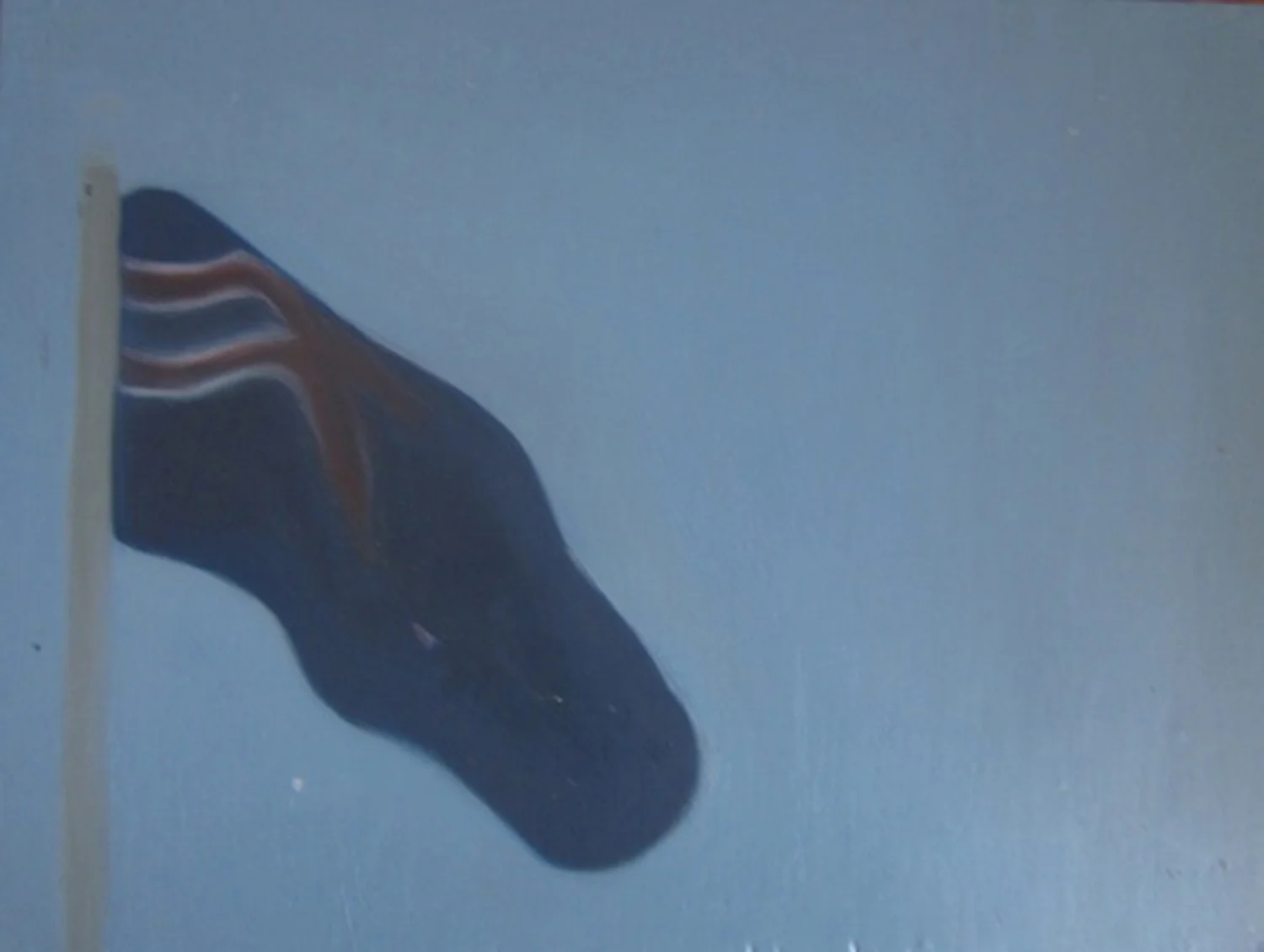  8. Holly Yoshida,&nbsp; Constellation of Delirium (Flag) &nbsp;(Detail), Oil on Board, $65 