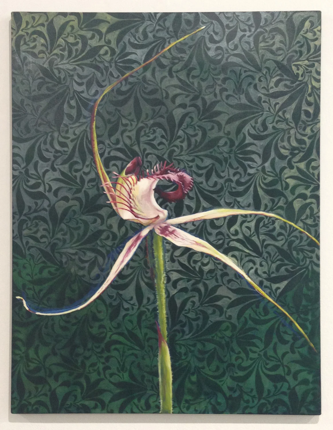  1. Clare McFarlane,  Caladenia  2013, acrylic and aerosol on canvas, $6,000 