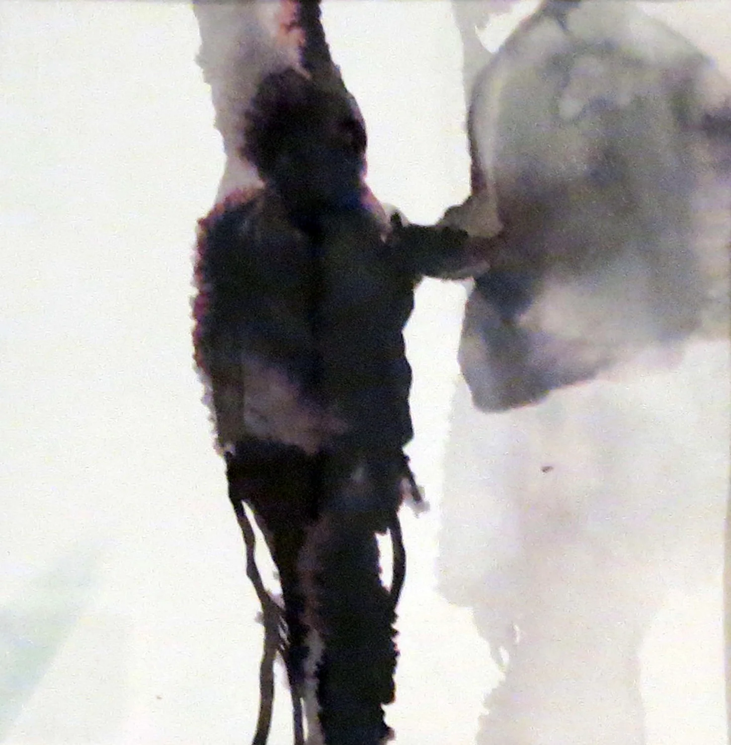  1 Andrea Wood,  Boy 1 , ink on cotton rag paper, $275 