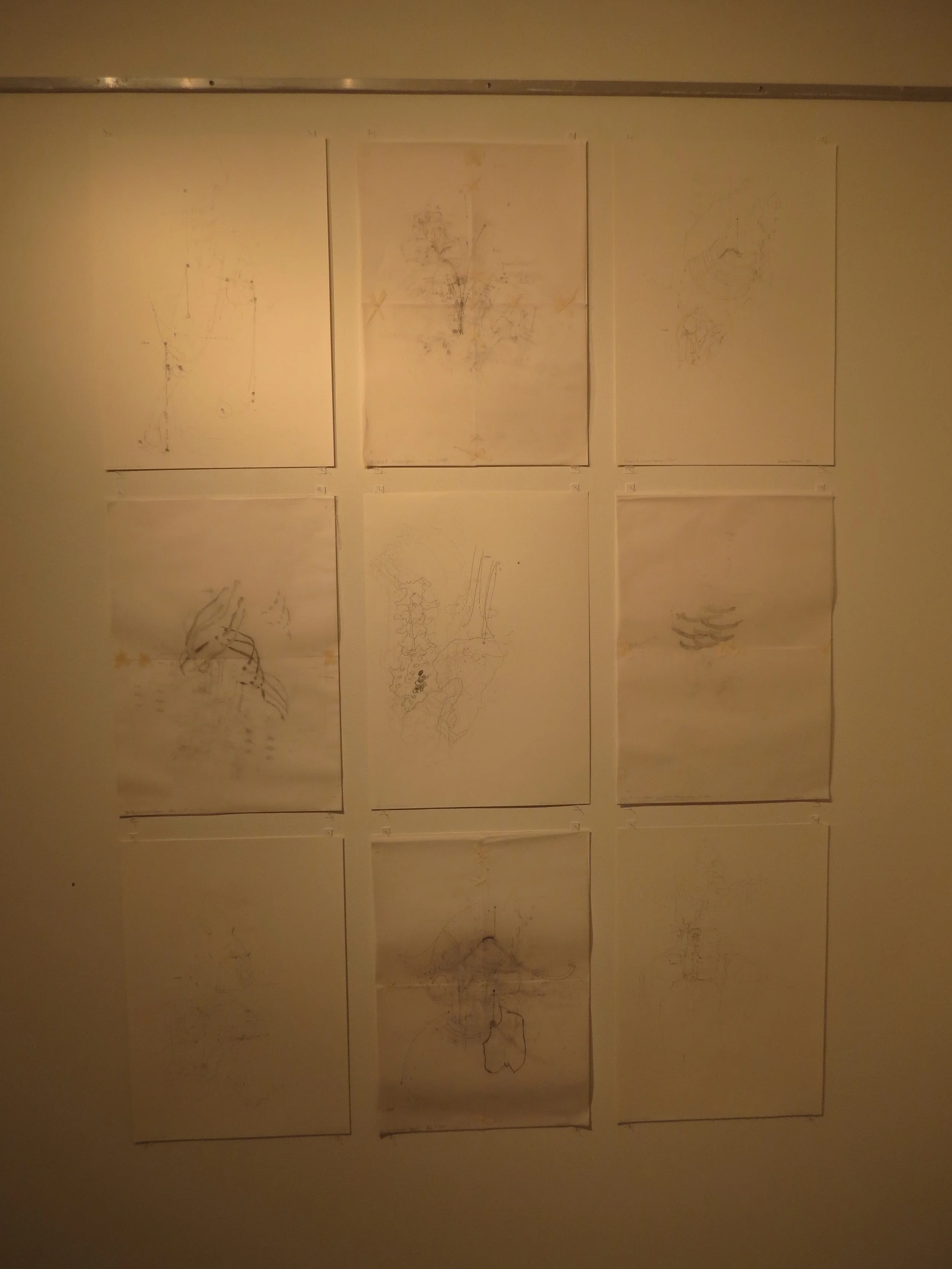  6.&nbsp;Shannon Williamson,&nbsp; Grid 2 , pencil, masking tape, drawing and tracing paper, $450 each 