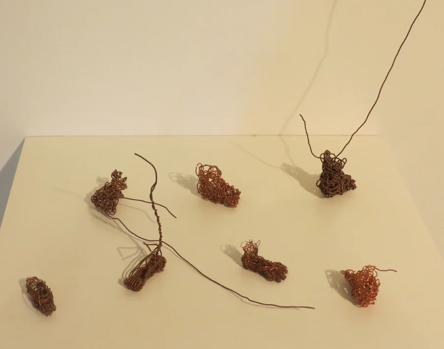  22. Cathy Rankin, 7 Steps Forward, 2 Steps Back, copper wire, $150 set of 7 
